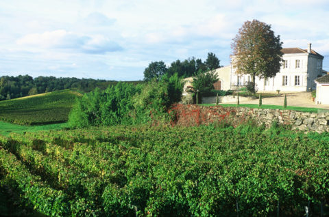 Château de l'Aubrade Bag-in-Box Weißwein