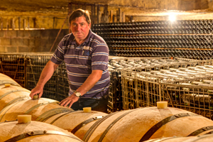 Über das Weingut - Chateau de Bonhoste