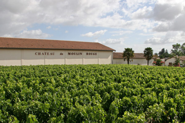 Château du Moulin Rouge mit Rebenfeld