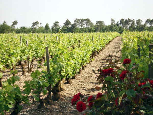 Château Monbrison 2012