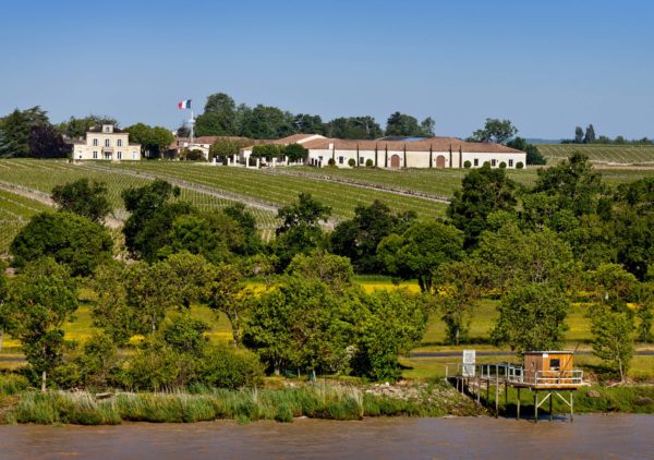 Château Montrose 2010